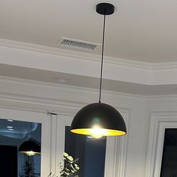 Black pendant Light With Gold Interior