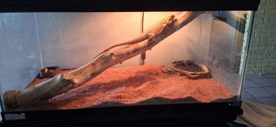 Reptile bearded dragon aquarium tank stand light
