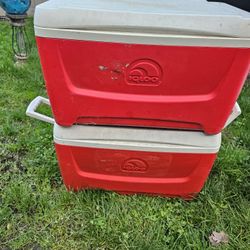  Plastic Cooler 