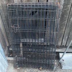 Dog Pen 