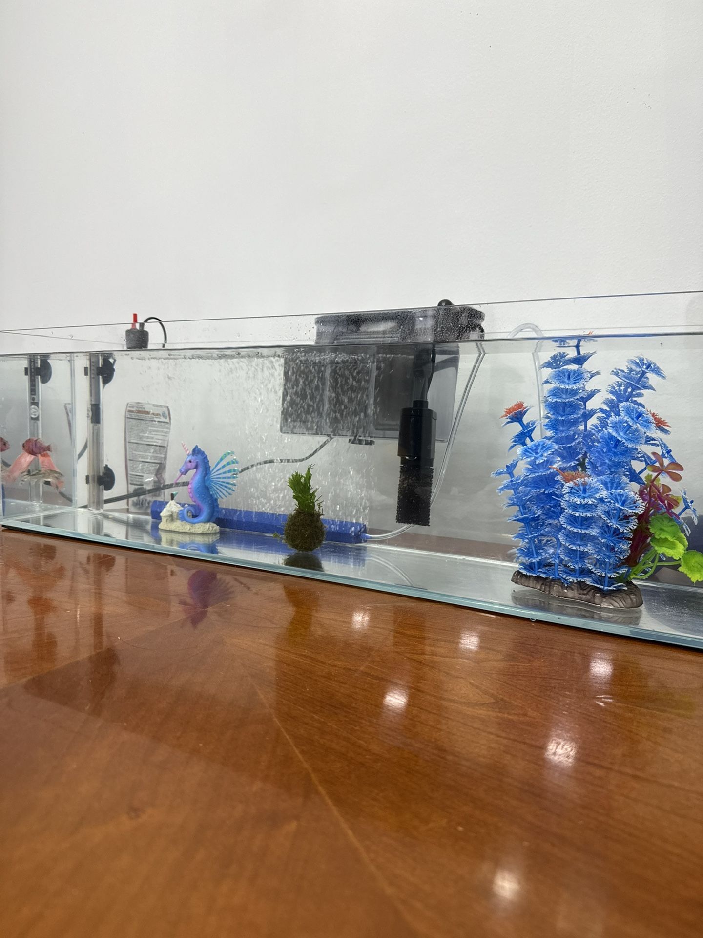 Aquatop 20 Gallon Tank