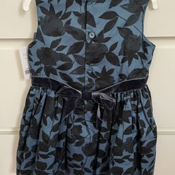 New Girl Dress 