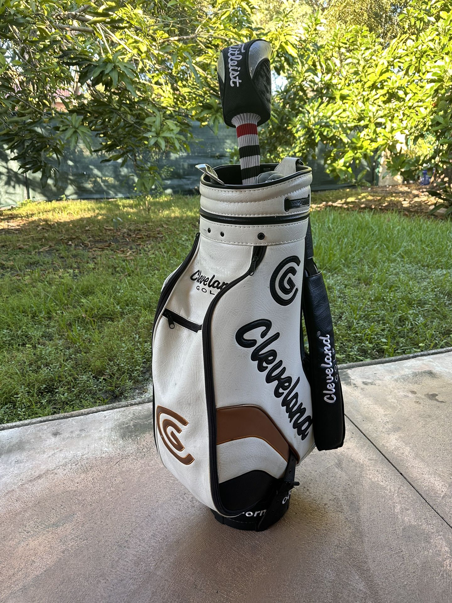 Golf Bag With 2 Clubs Great Condition