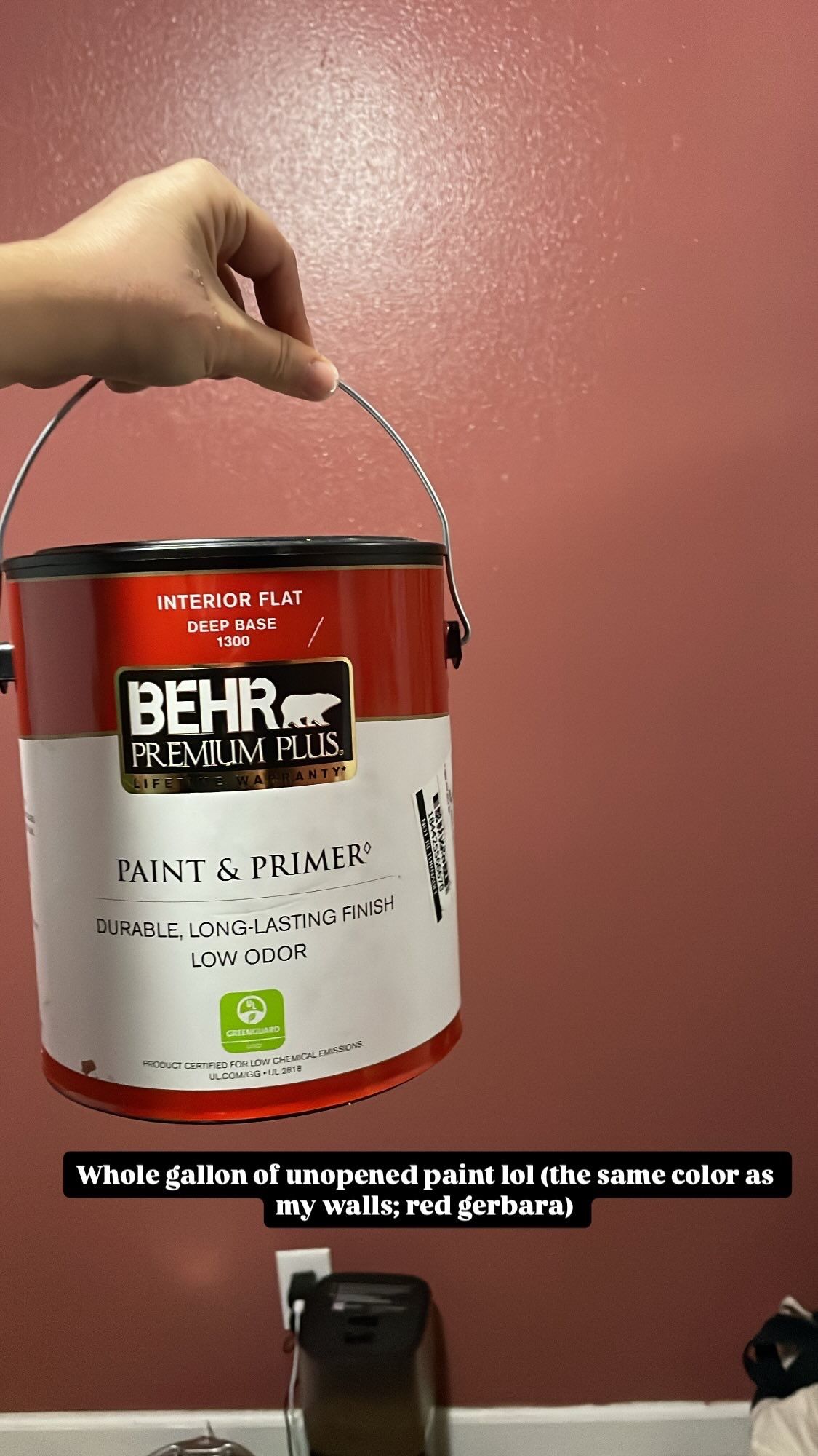 Free Paint - Red Gerbara