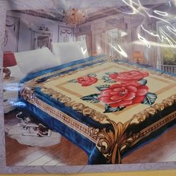 Queen Size 2 Play Super Soft And Thick Blanket 15.5 LBS