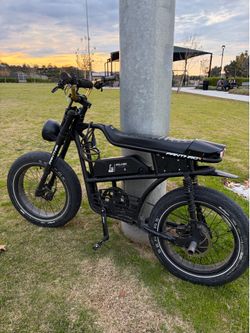 Panthro e-bike (1000 OBO)