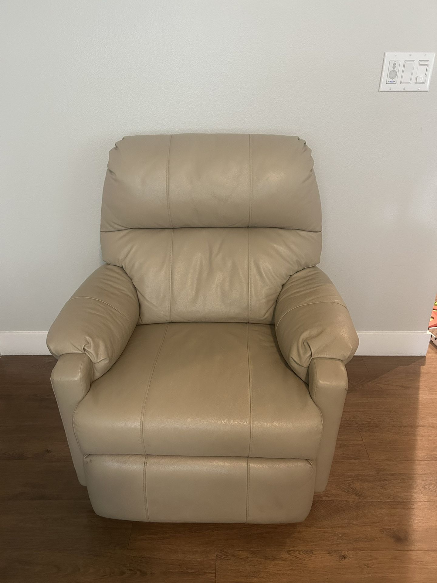 Leather Recliner