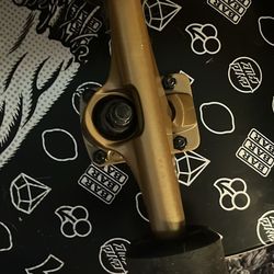Santa Cruz Skateboard