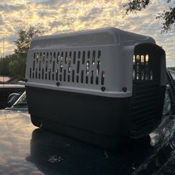 Dog Cage 