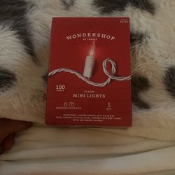 Brand new Christmas lights never been used