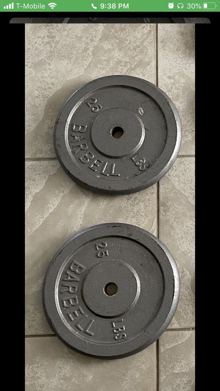 Weight Plates 1”