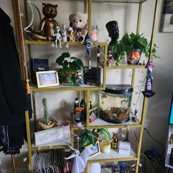 MOVE OUT SALE