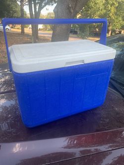 Coleman cooler