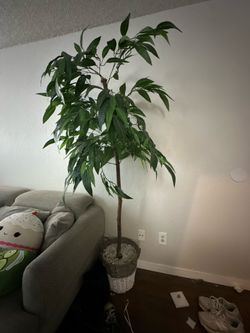 faux trees!