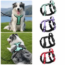 Dog harness set with leash