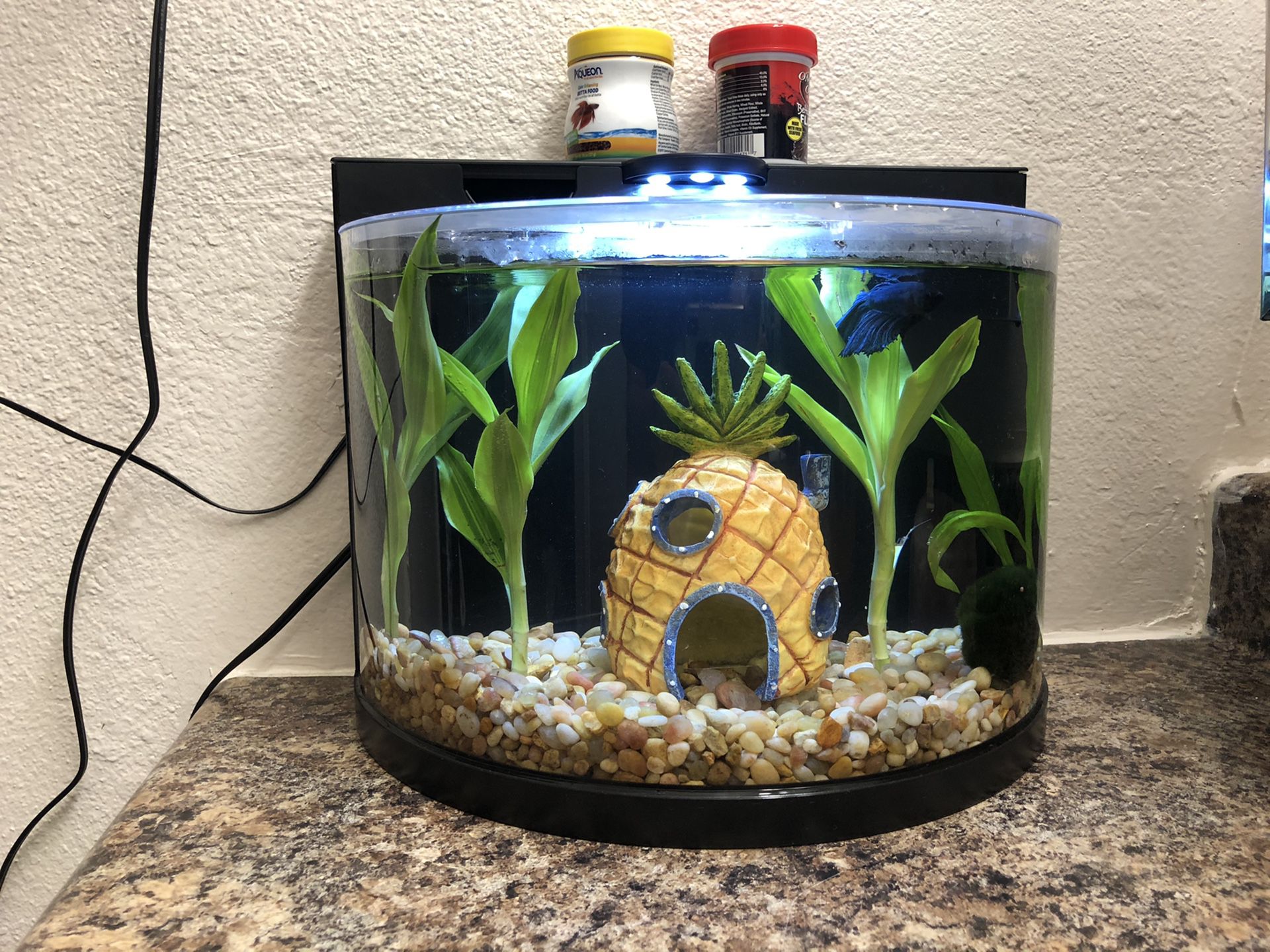 Brand new Betta fish tank w/ everything included
