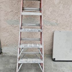 6 Foot Ladder 