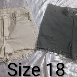 Women's Size 18 Shorts Bundle