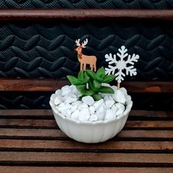 Lucky Plant 