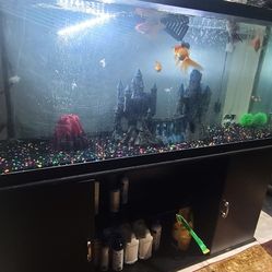 125 Gallon Fish Tank And Stand (Comes With Fishes And Accessories)
