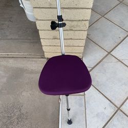 Walking Cane with Chair