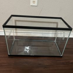20 Gallon Vertical Tank ( Dry Habitat Preferred)