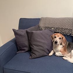 2 Throw Pillows