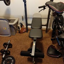 Weight Bench 