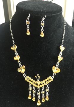 New in bag. Necklace and earring set