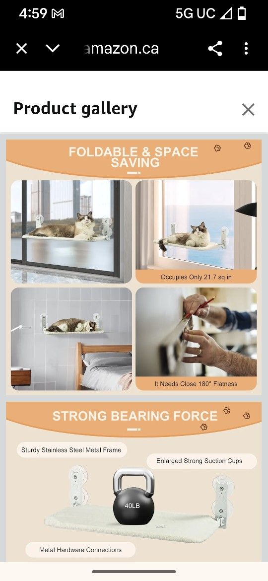 Cat Window Perch