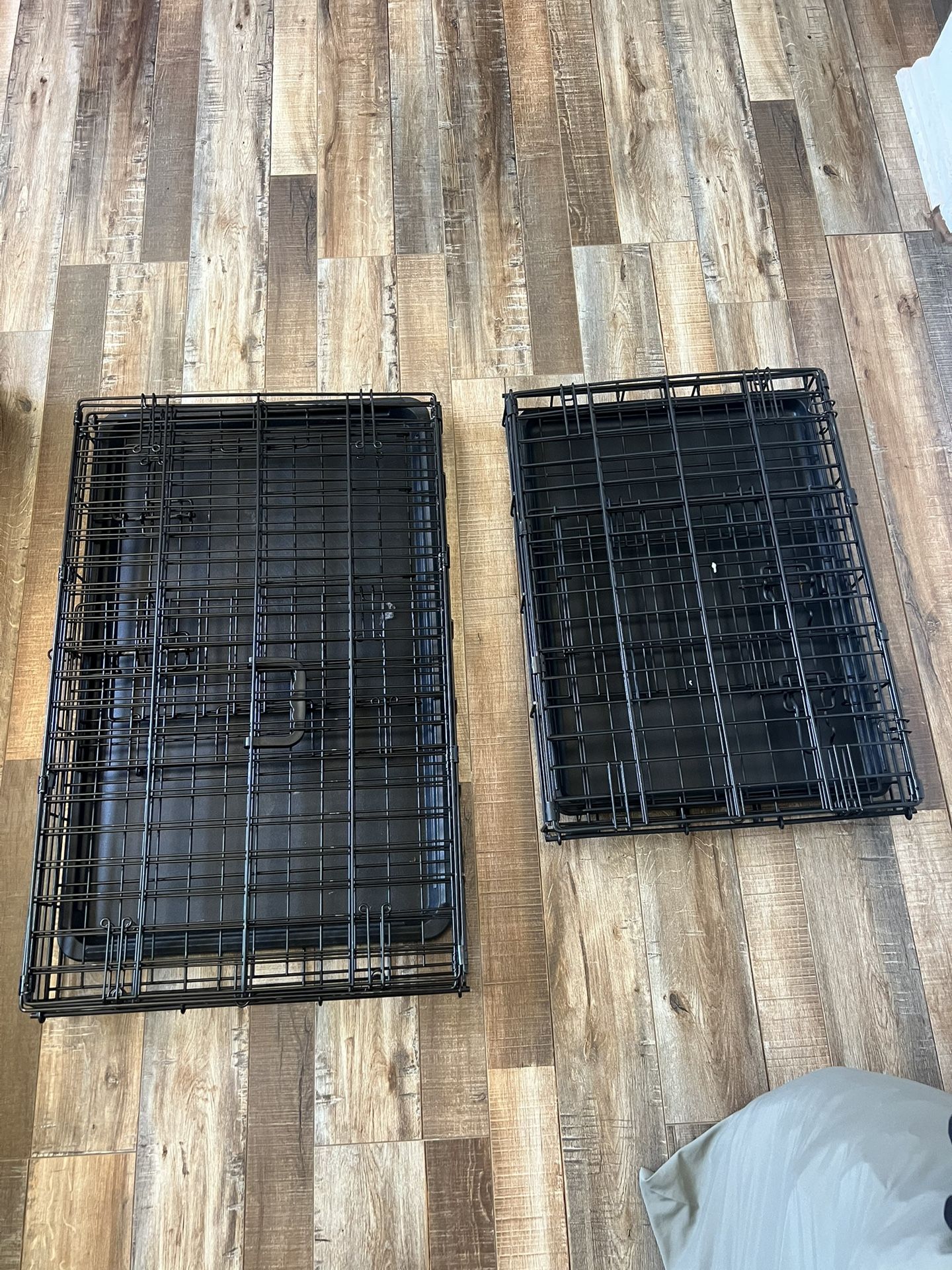 dog cage