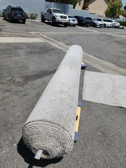 Carpet (about 1000ft²)