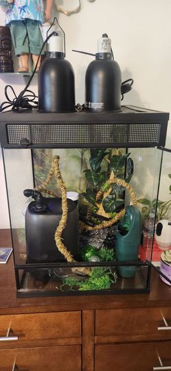 Reptile Habitat and Accessories