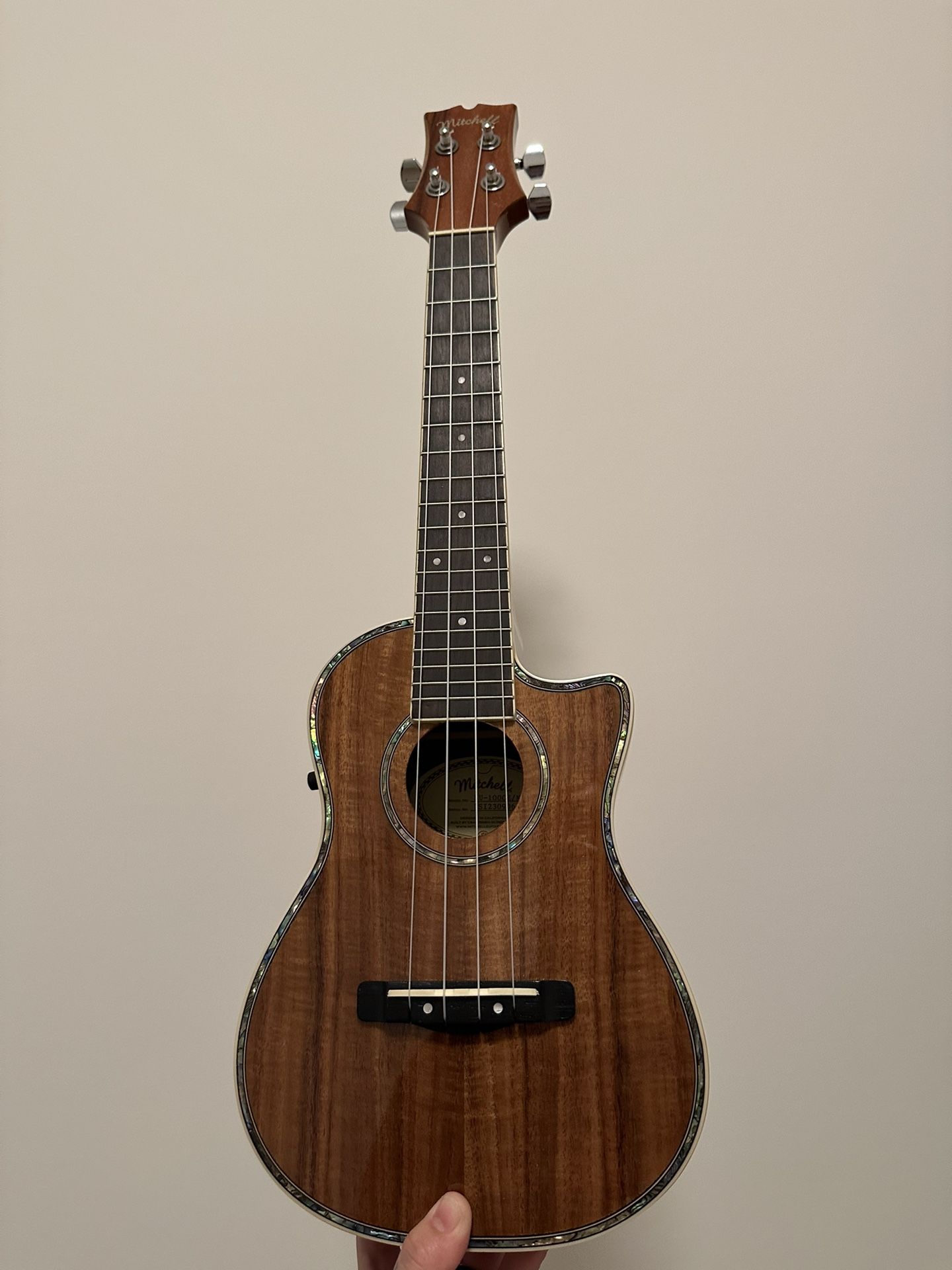 Mitchell MU100CE Acoustic-Electric