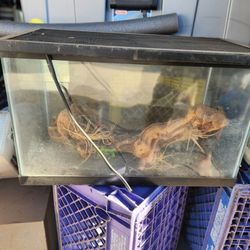 Small Reptile Tank
