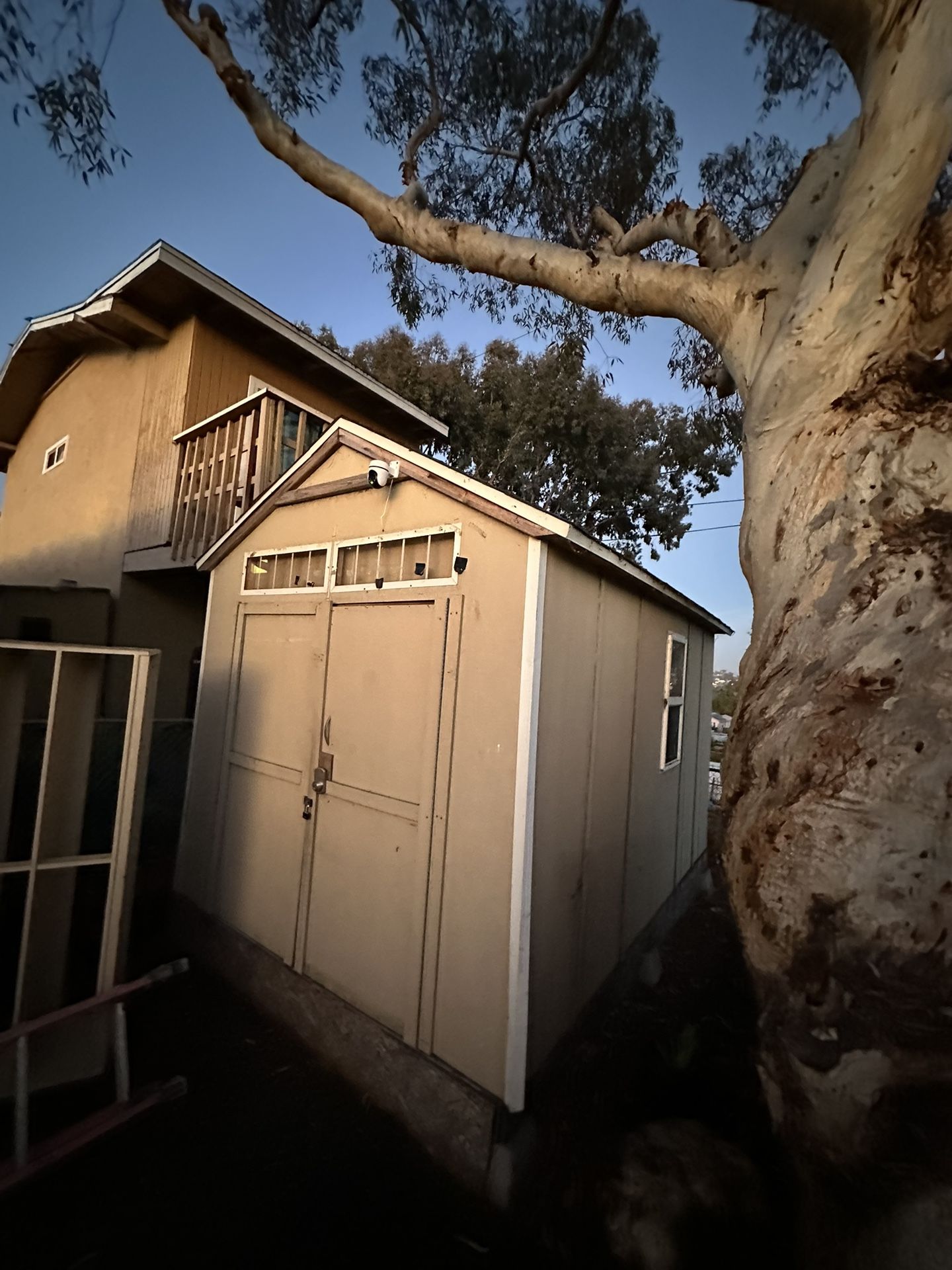 SHED
