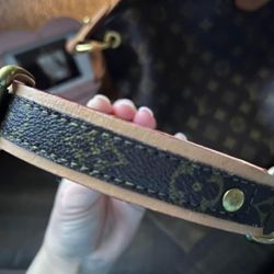 Small Dog Collar LV