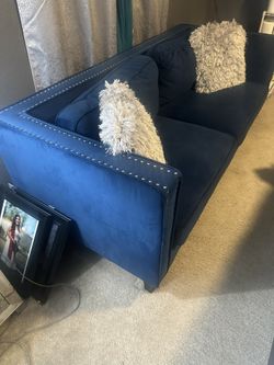 Couch Dino Blue 
