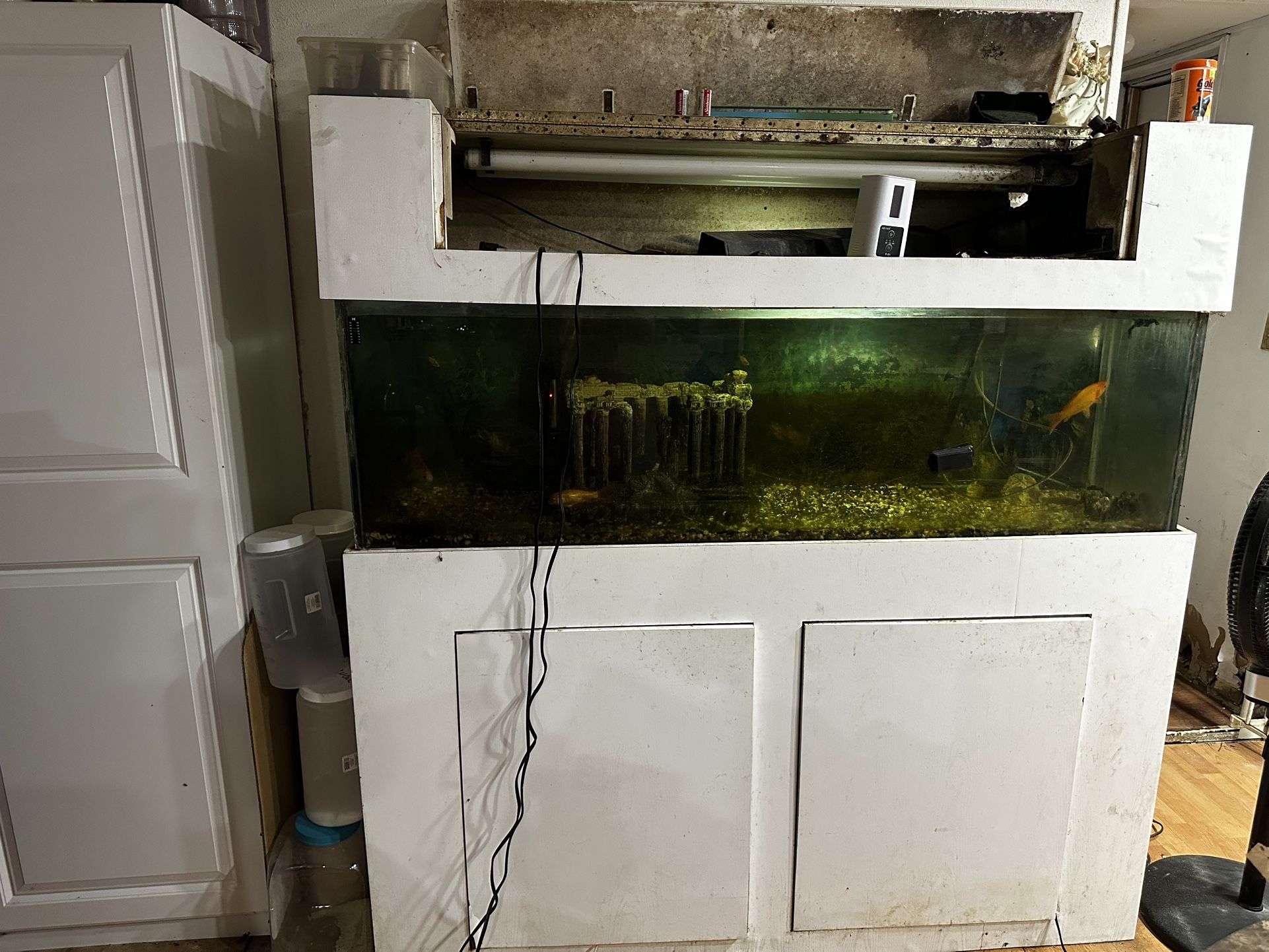 110 Fish Tank With 3 Small Fish