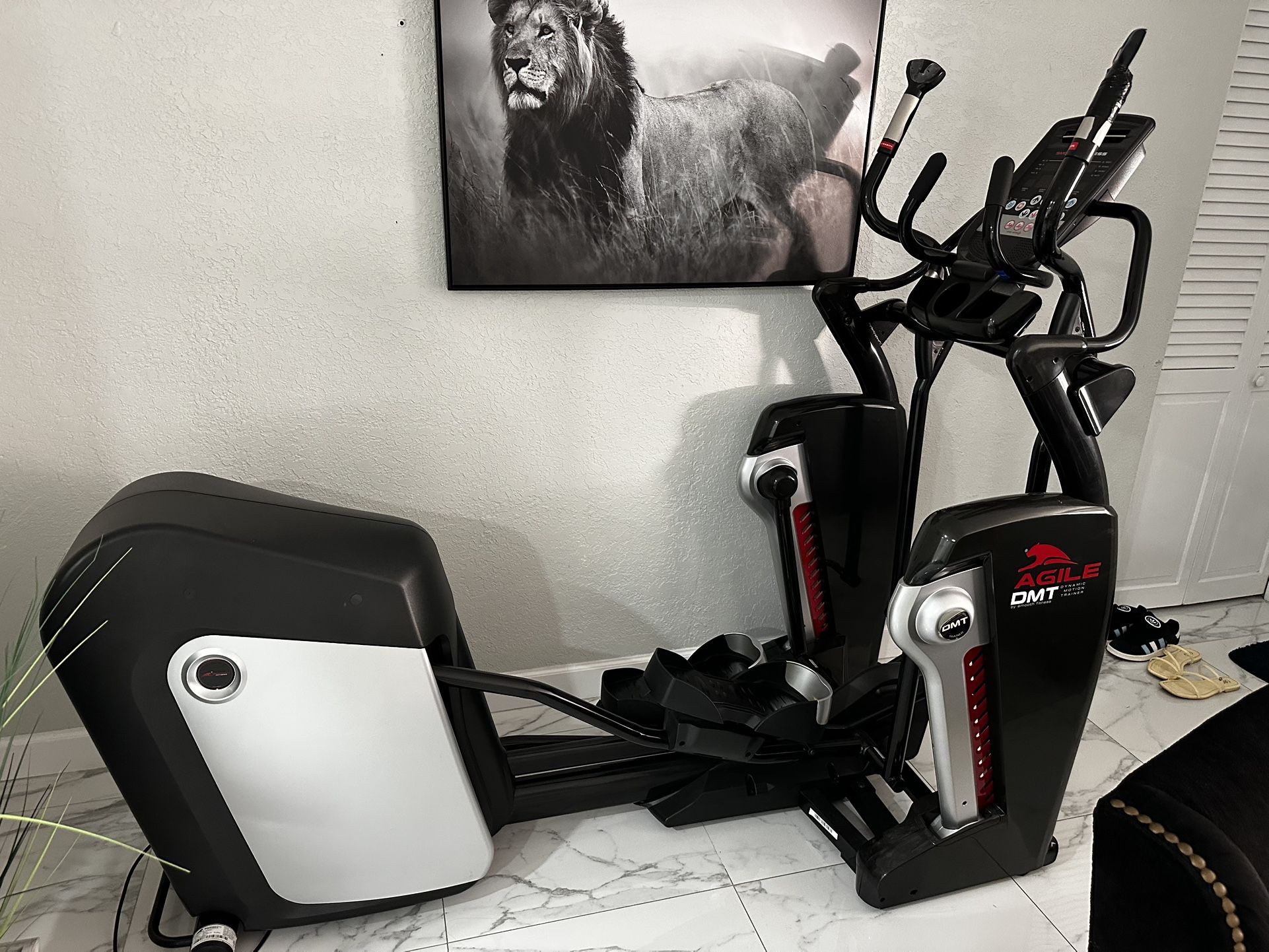 Elliptical Agile DMT – Excellent Condition
