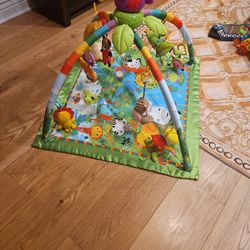 Baby Playmat
