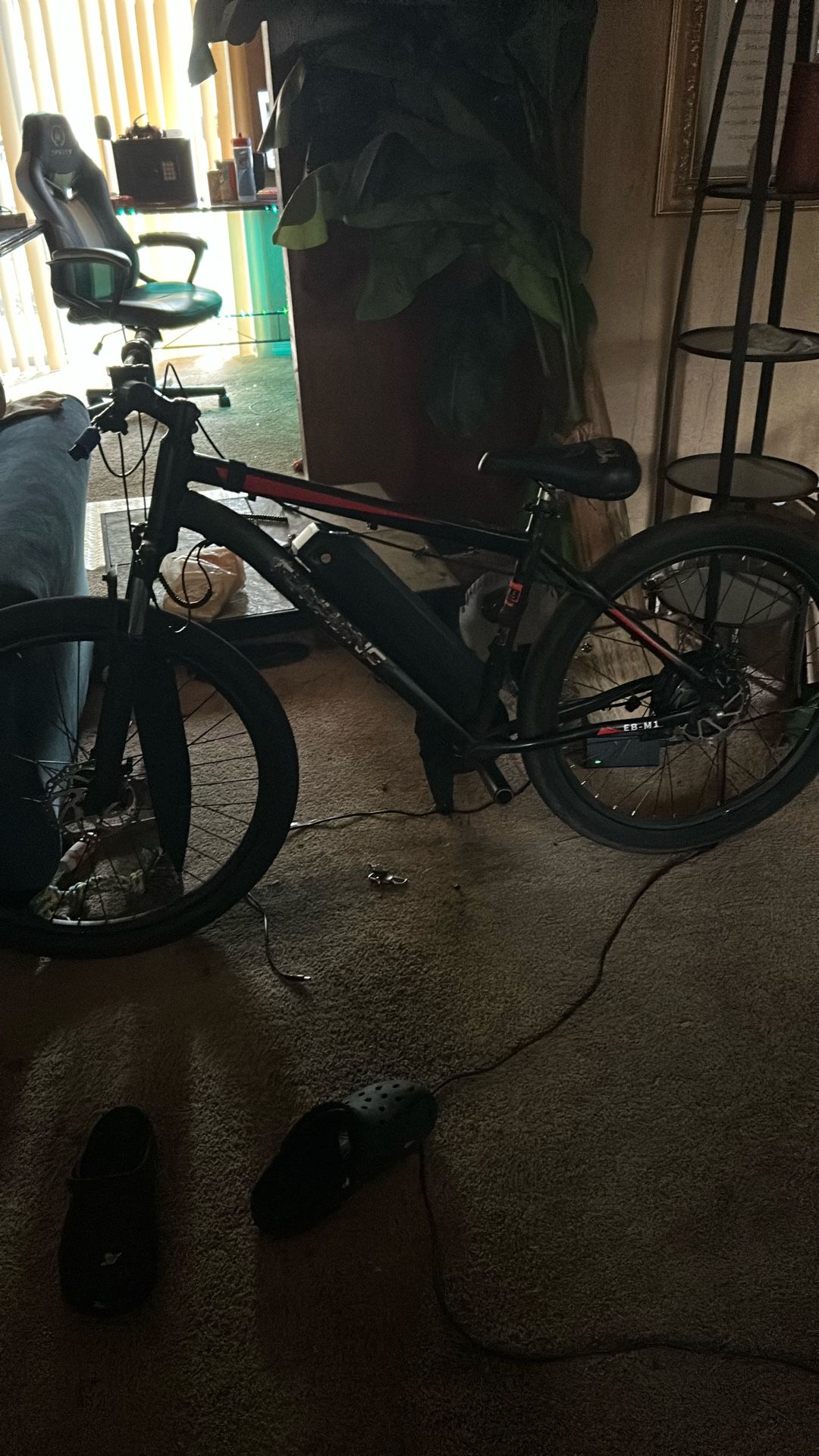 Custom E-bike