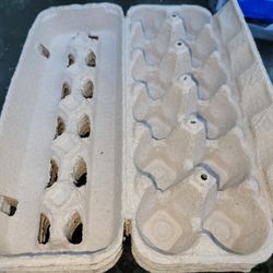 Eggs Cartons