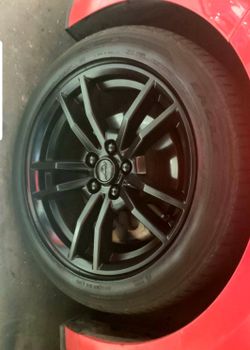 plastidip