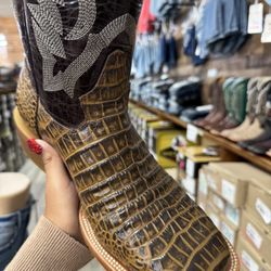 american gator boot 