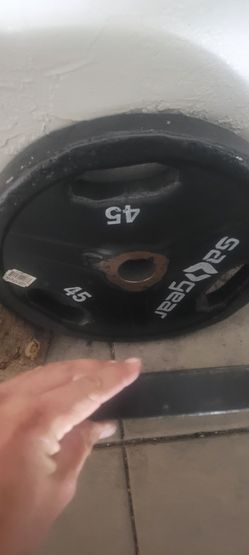 2- 45 Pound Weights 