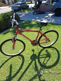 Mountain bike