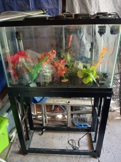 29 gallon aquarium with metal stand