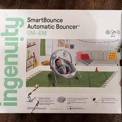 Ingenuity Smart Bouncer