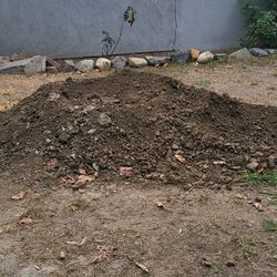 Free Dirt